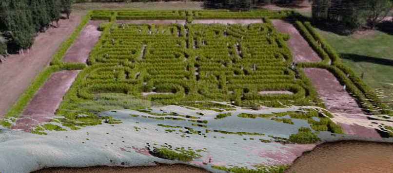 Somos pensamientos en la mente de un&nbsp;gigante